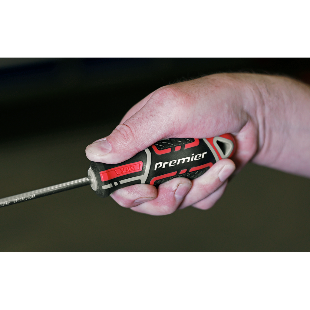 GripMAX® Phillips Screwdriver #2 x 100mm AK4361