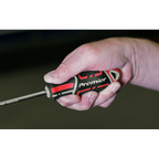 GripMAX® Phillips Screwdriver #2 x 100mm AK4361