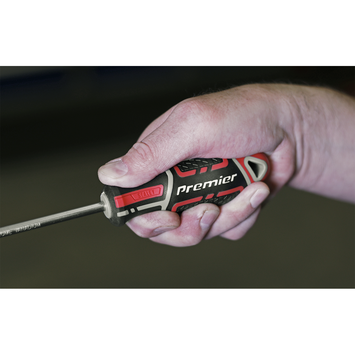 GripMAX® Phillips Screwdriver #2 x 100mm AK4361