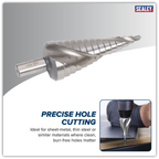 Spiral Flute HSS 4341 Step Drill Bit 4-30mm AK4748