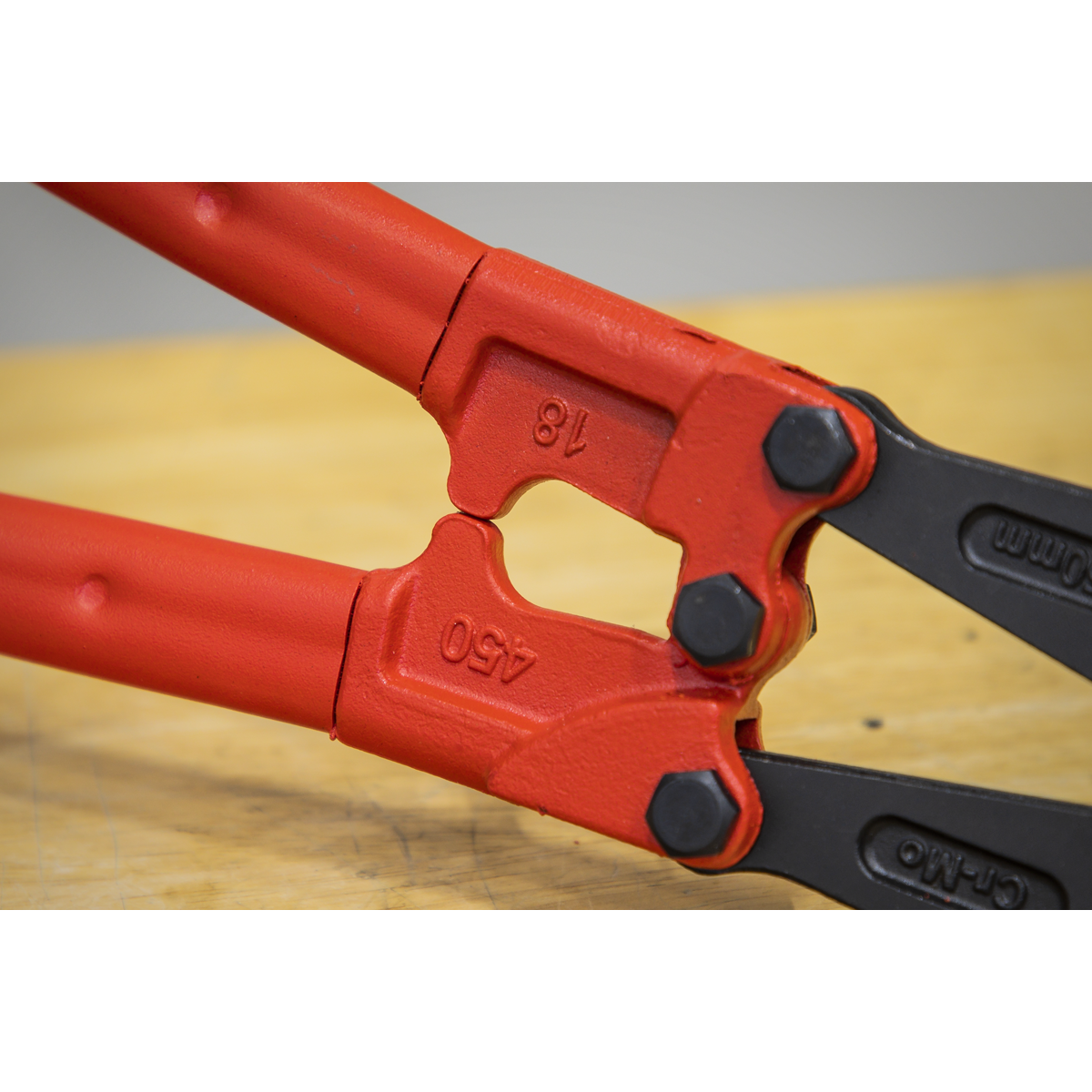 Bolt Cutters 450mm 8mm Capacity AK508