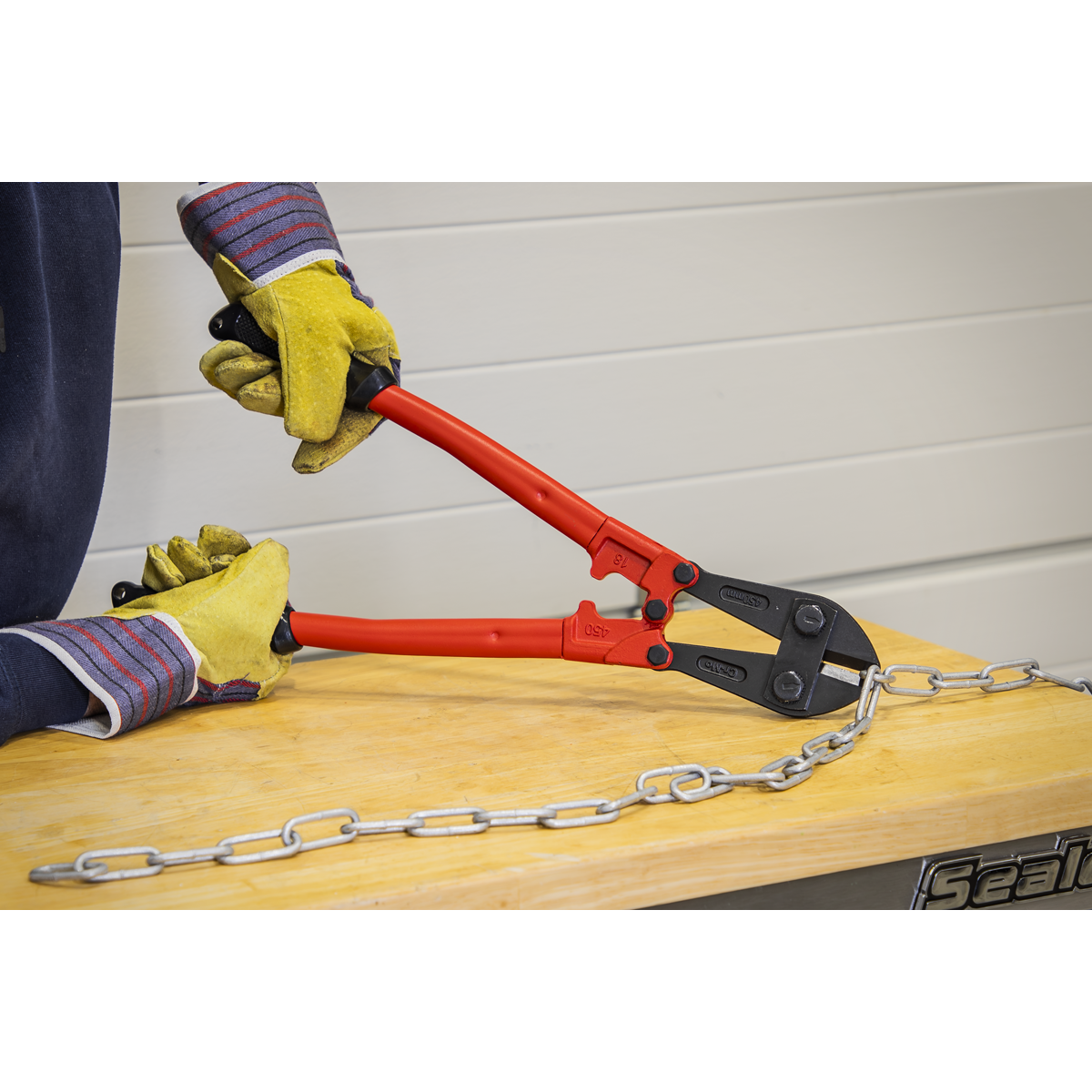 Bolt Cutters 450mm 8mm Capacity AK508