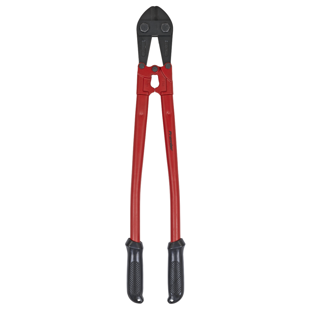 Bolt Cutters 750mm 13mm Capacity AK510