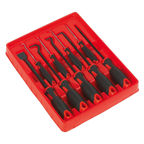 Scraper & Hook Set 9pc AK5209