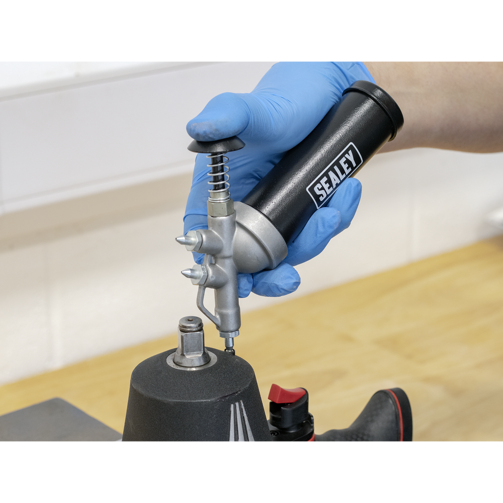 Push Type Mini Grease Gun AK55