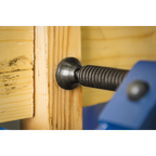 Quick Release G-Clamp 100mm AK6004Q