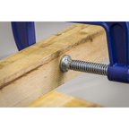 G-Clamp 100mm AK6004