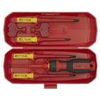 Interchangeable Screwdriver Set 8pc - VDE Approved AK61280