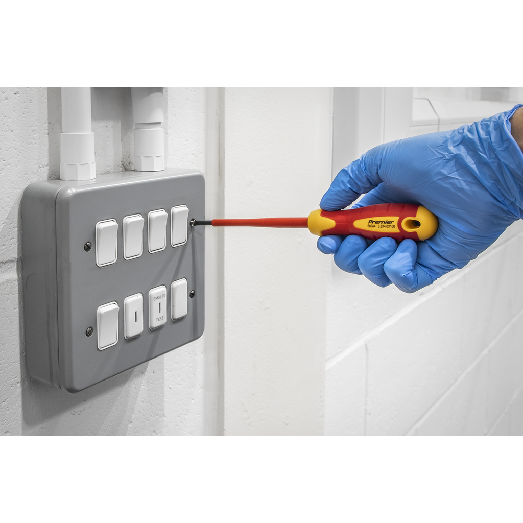 Screwdriver Set 6pc - VDE Approved AK6130
