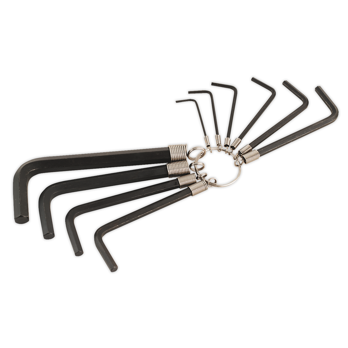 Hex Key Set on Ring 10pc AK6148