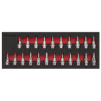 TRX-Star*/Hex/Spline Socket Bit Set 3/8"Sq Drive 22pc AK6243