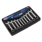 Stubby Combination Spanner Set 10pc AK633