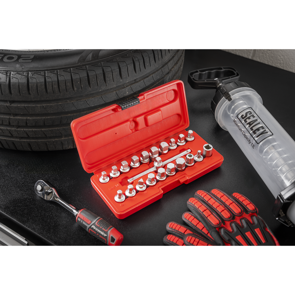 Oil Drain Plug Key Set 3/8"Sq Drive 21pc AK6586