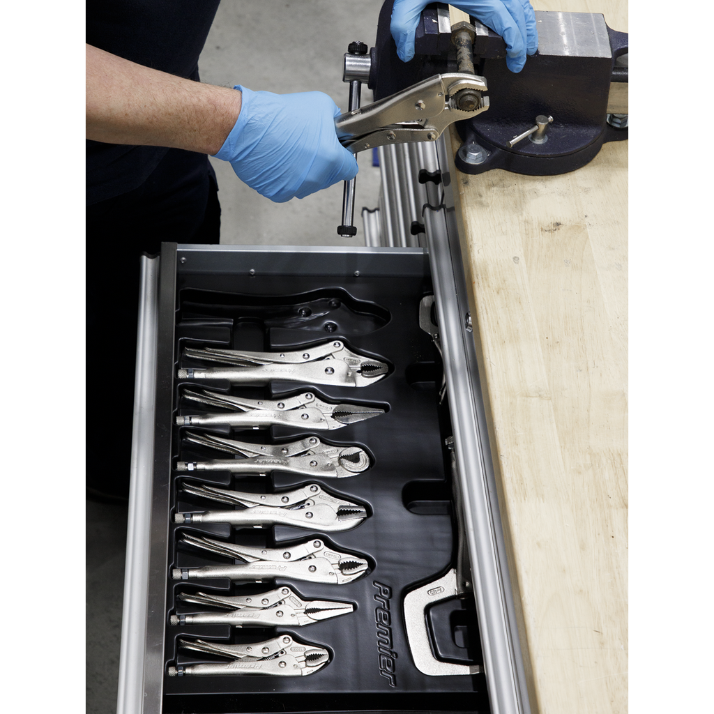 Locking Pliers Set 10pc AK6800