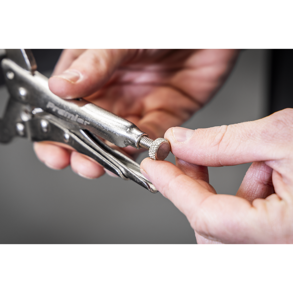 Locking Pliers Set with Foam Tray 10pc AK6802
