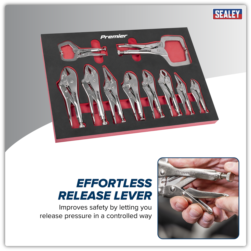 Locking Pliers Set with Foam Tray 10pc AK6802