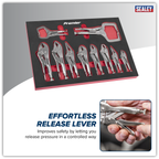Locking Pliers Set with Foam Tray 10pc AK6802