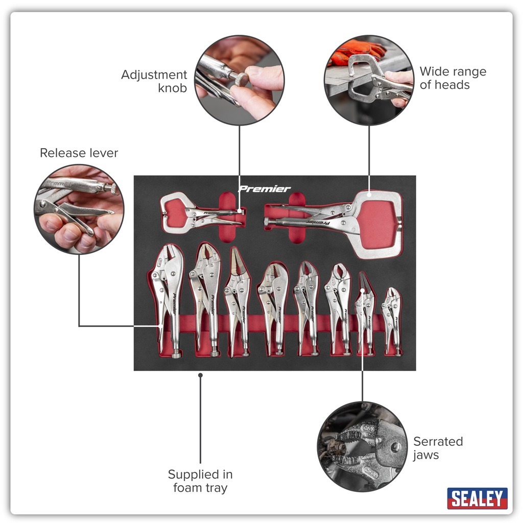 Locking Pliers Set with Foam Tray 10pc AK6802