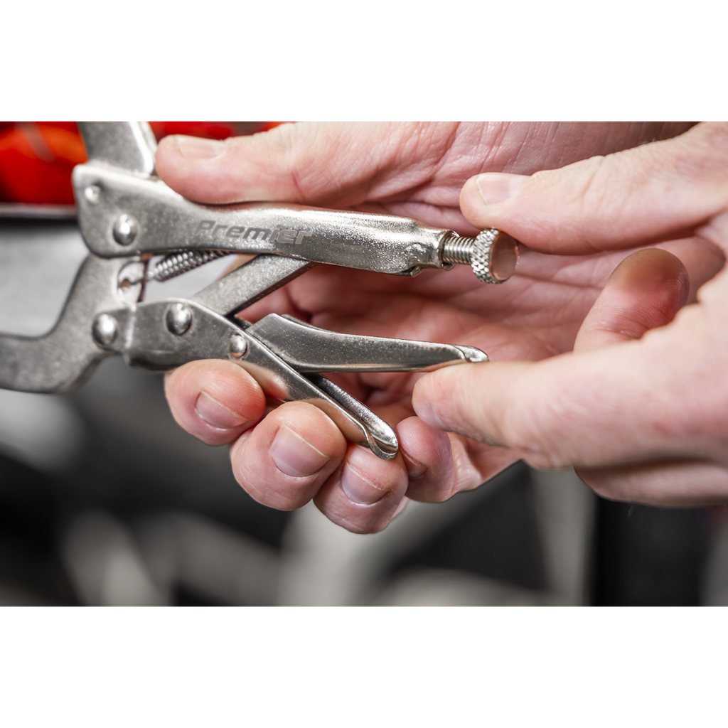 Locking Pliers Set with Foam Tray 10pc AK6802