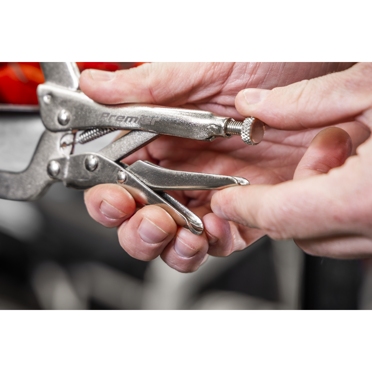 Locking Pliers Set with Foam Tray 10pc AK6802