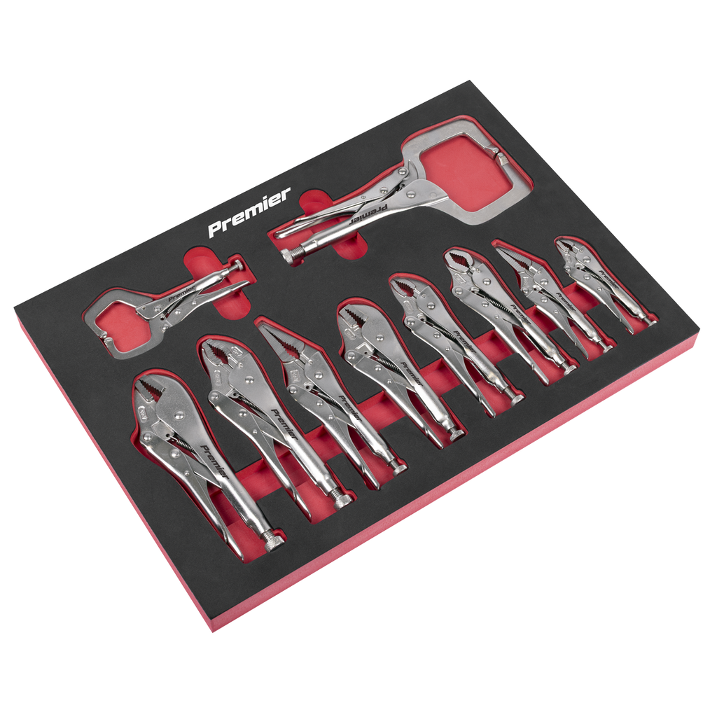 Locking Pliers Set with Foam Tray 10pc AK6802