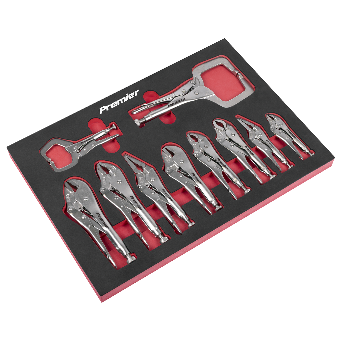 Locking Pliers Set with Foam Tray 10pc AK6802