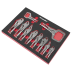 Locking Pliers Set with Foam Tray 10pc AK6802