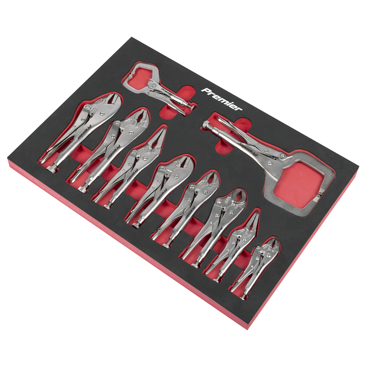 Locking Pliers Set with Foam Tray 10pc AK6802