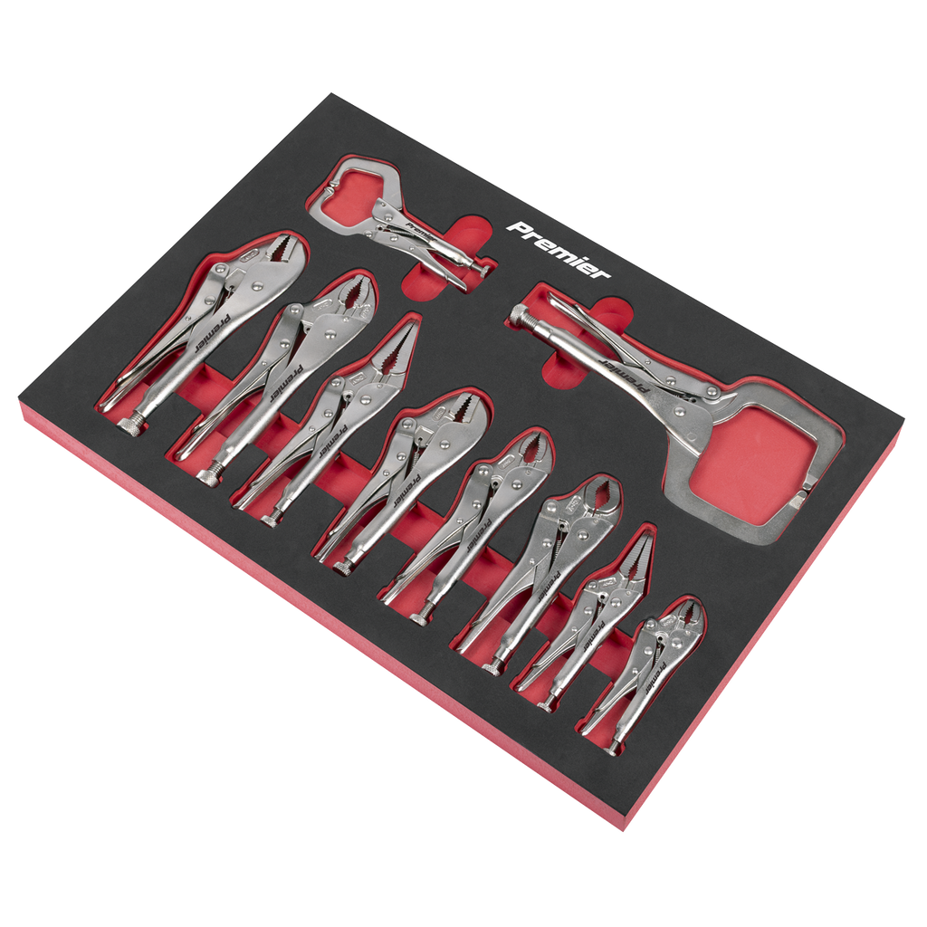 Locking Pliers Set with Foam Tray 10pc AK6802