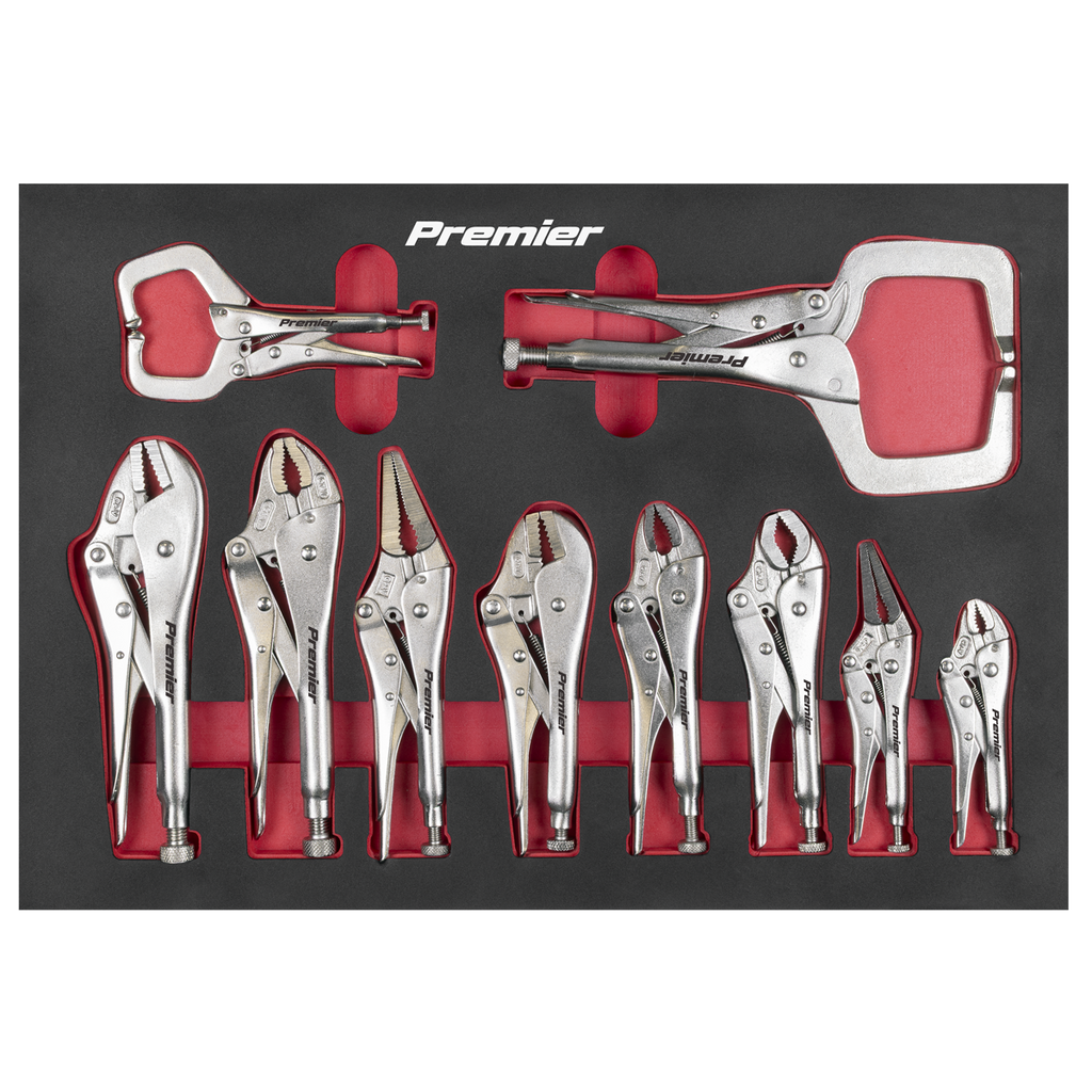 Locking Pliers Set with Foam Tray 10pc AK6802