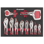 Locking Pliers Set with Foam Tray 10pc AK6802