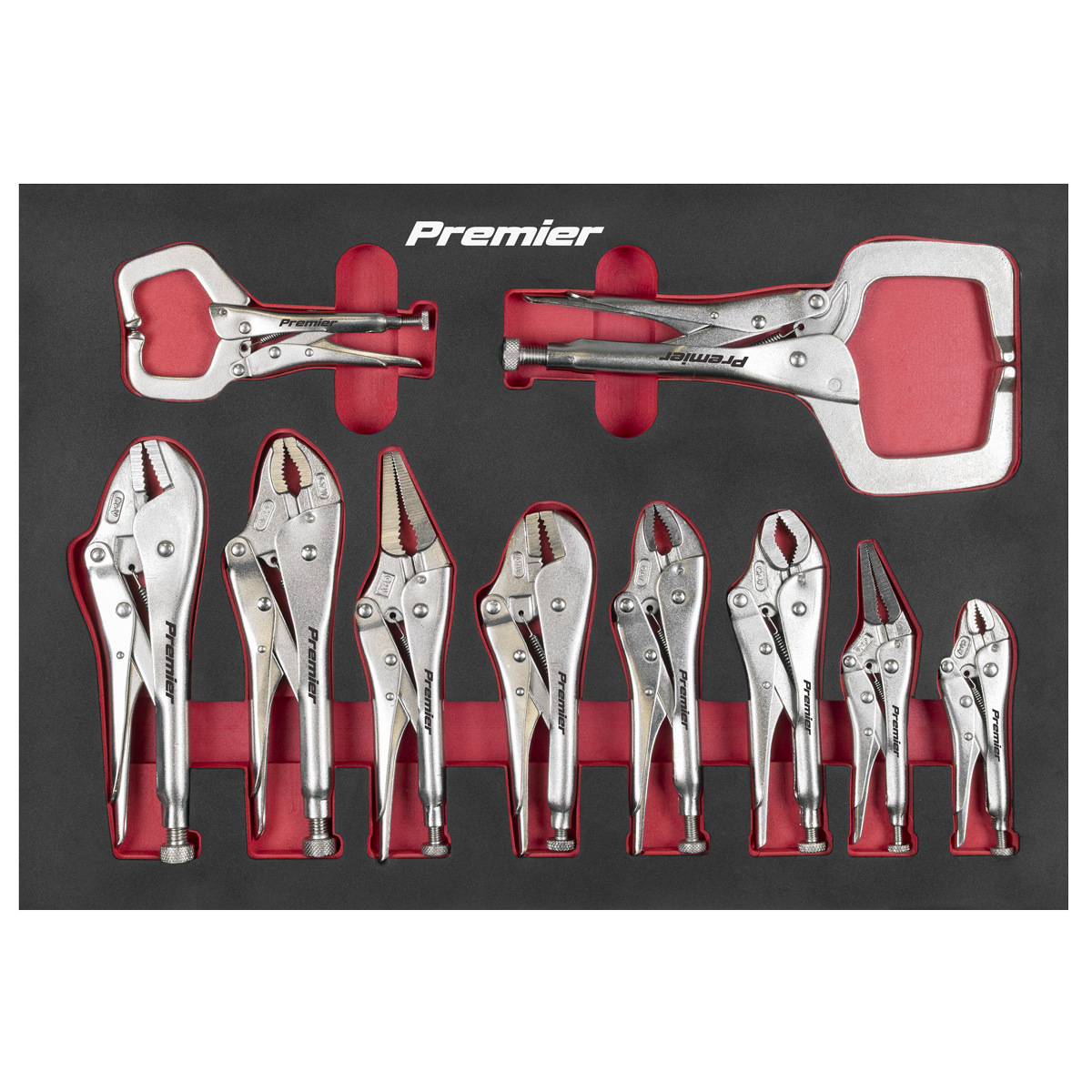 Locking Pliers Set with Foam Tray 10pc AK6802