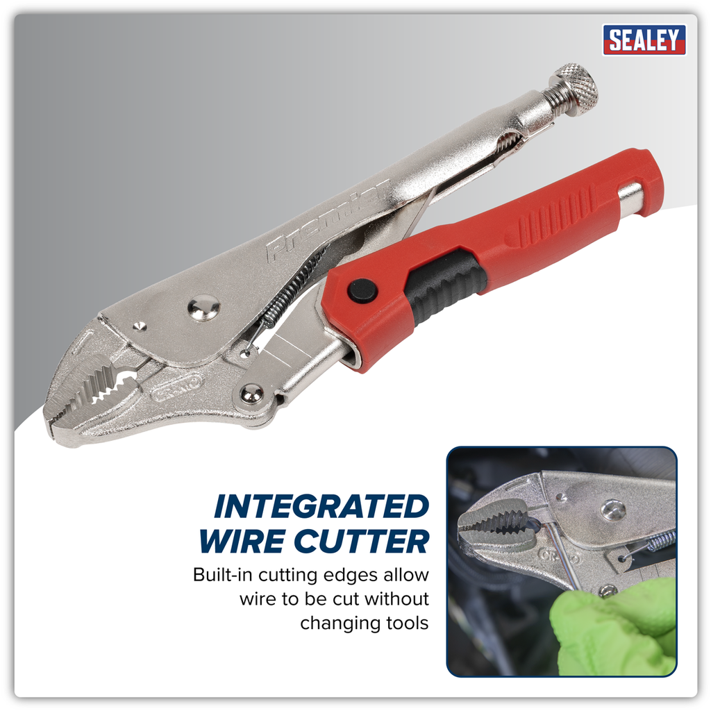 Quick Release Locking Pliers 220mm AK6859