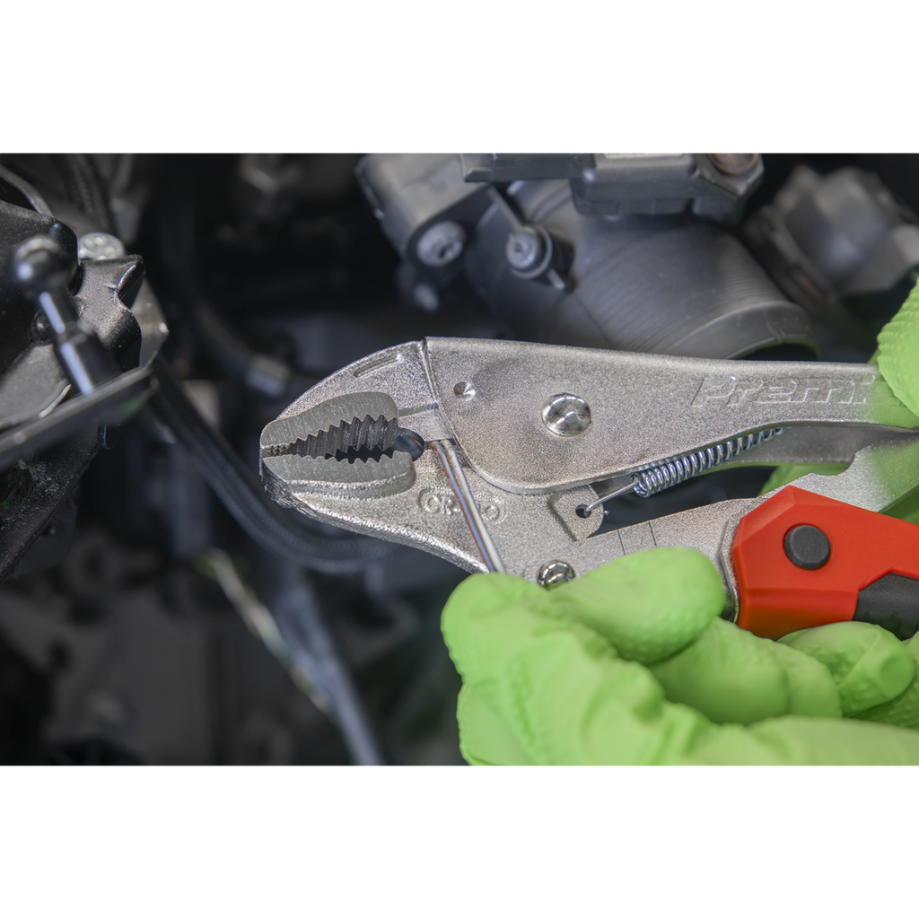 Quick Release Locking Pliers 220mm AK6859