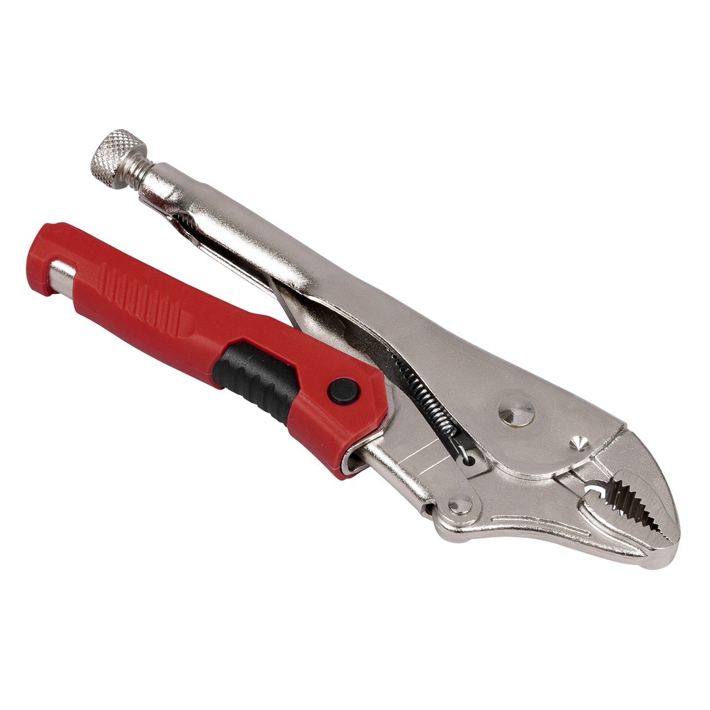 Quick Release Locking Pliers 220mm AK6859