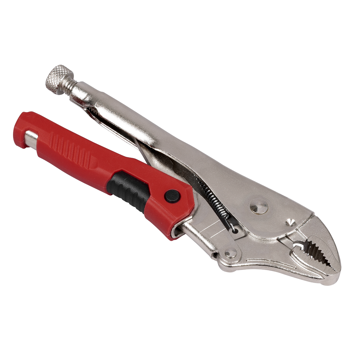 Quick Release Locking Pliers 220mm AK6859