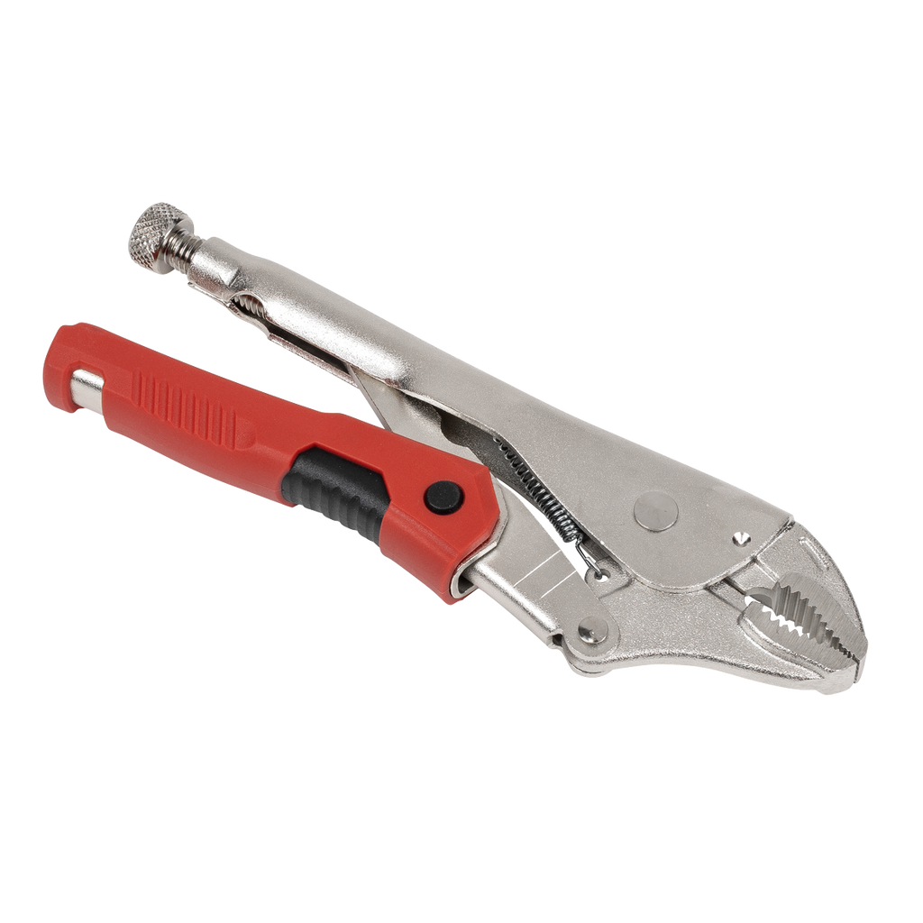 Quick Release Locking Pliers 220mm AK6859