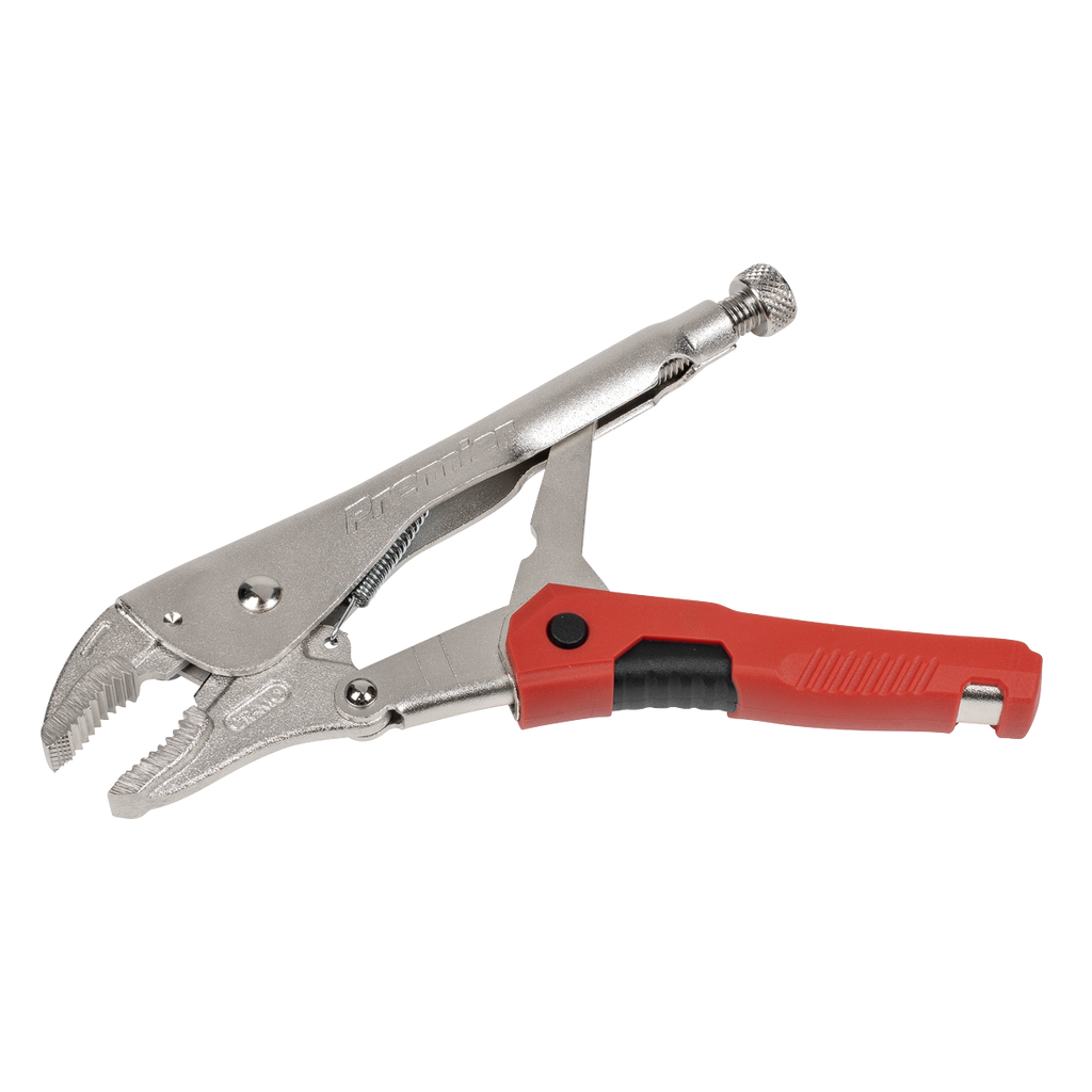 Quick Release Locking Pliers 220mm AK6859