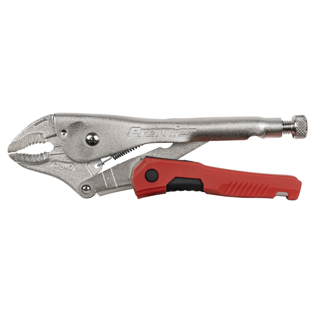 Quick Release Locking Pliers 220mm AK6859