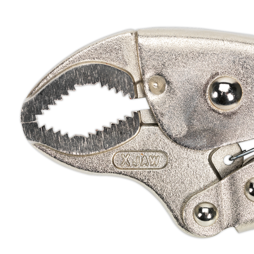 Xtreme Grip Quick Release Locking Pliers 220mm AK6869