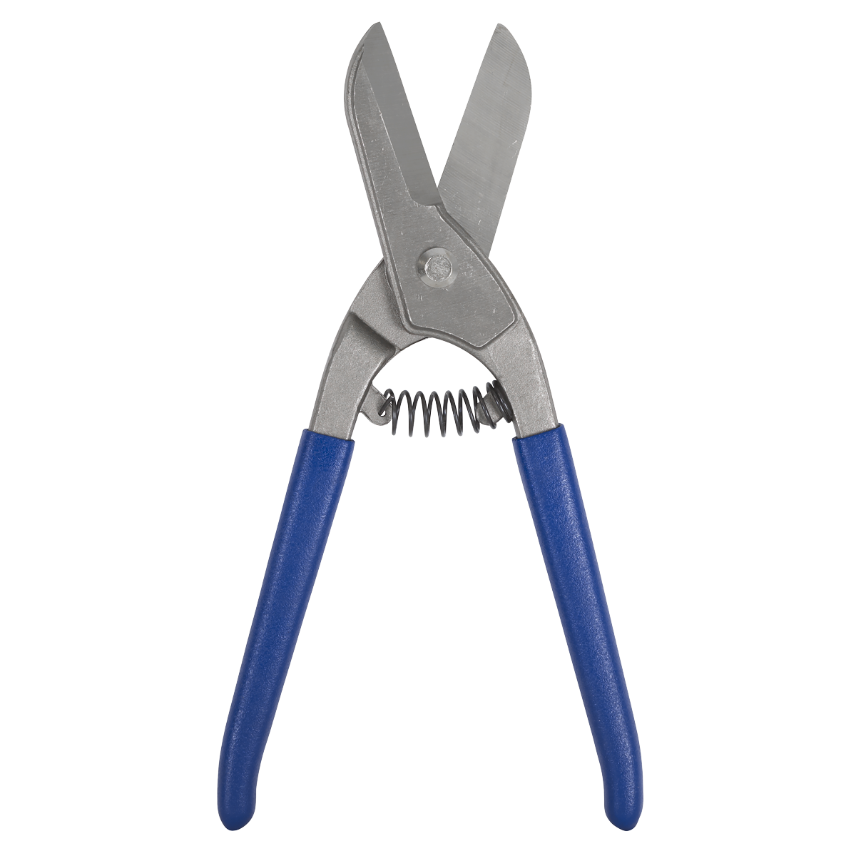 Spring Loaded Tin Snips/Shears 250mm AK6910