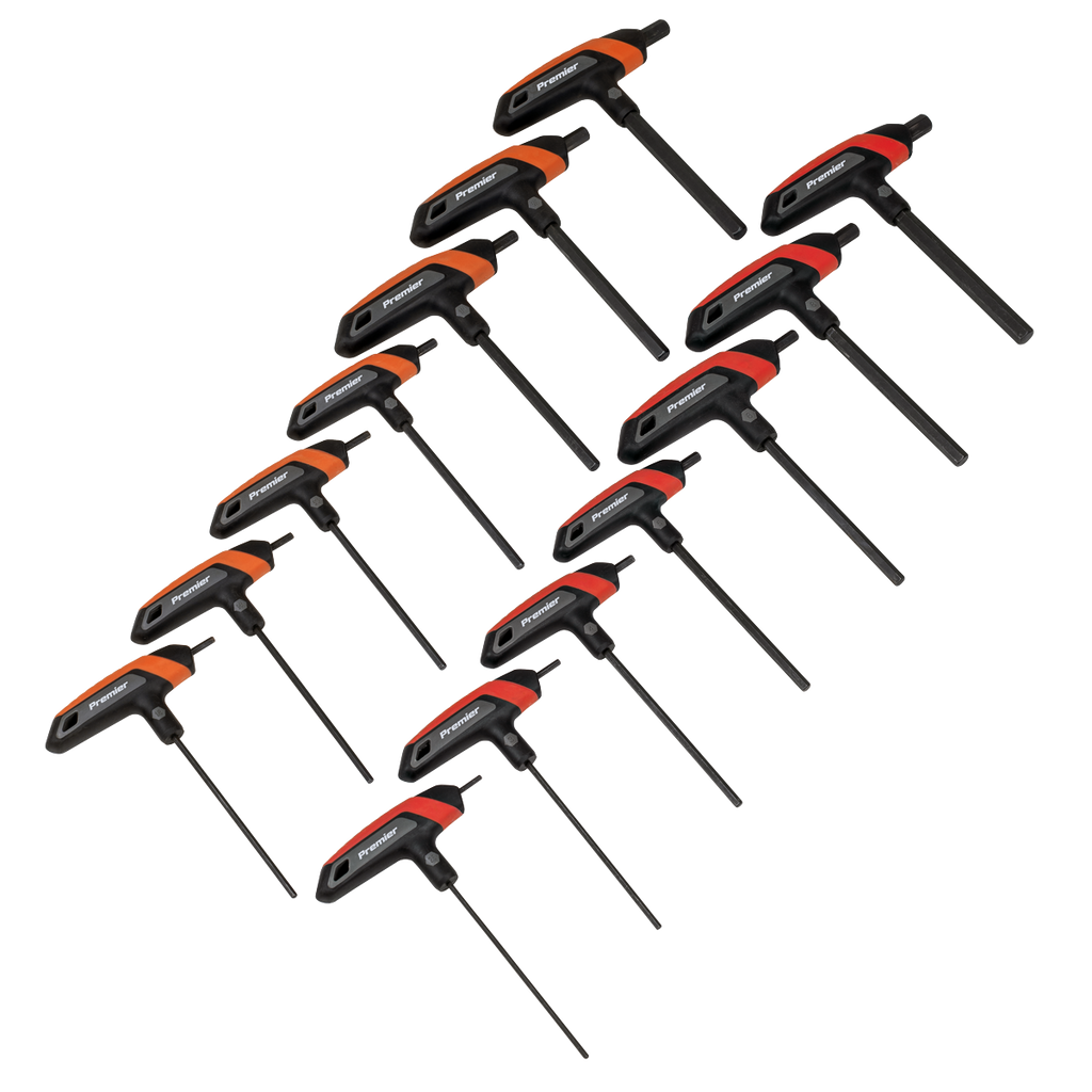 Metric/Imperial T-Handle Hex Key Set 14pc AK7149