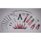 Mechanic's Tool Kit 100pc AK7400
