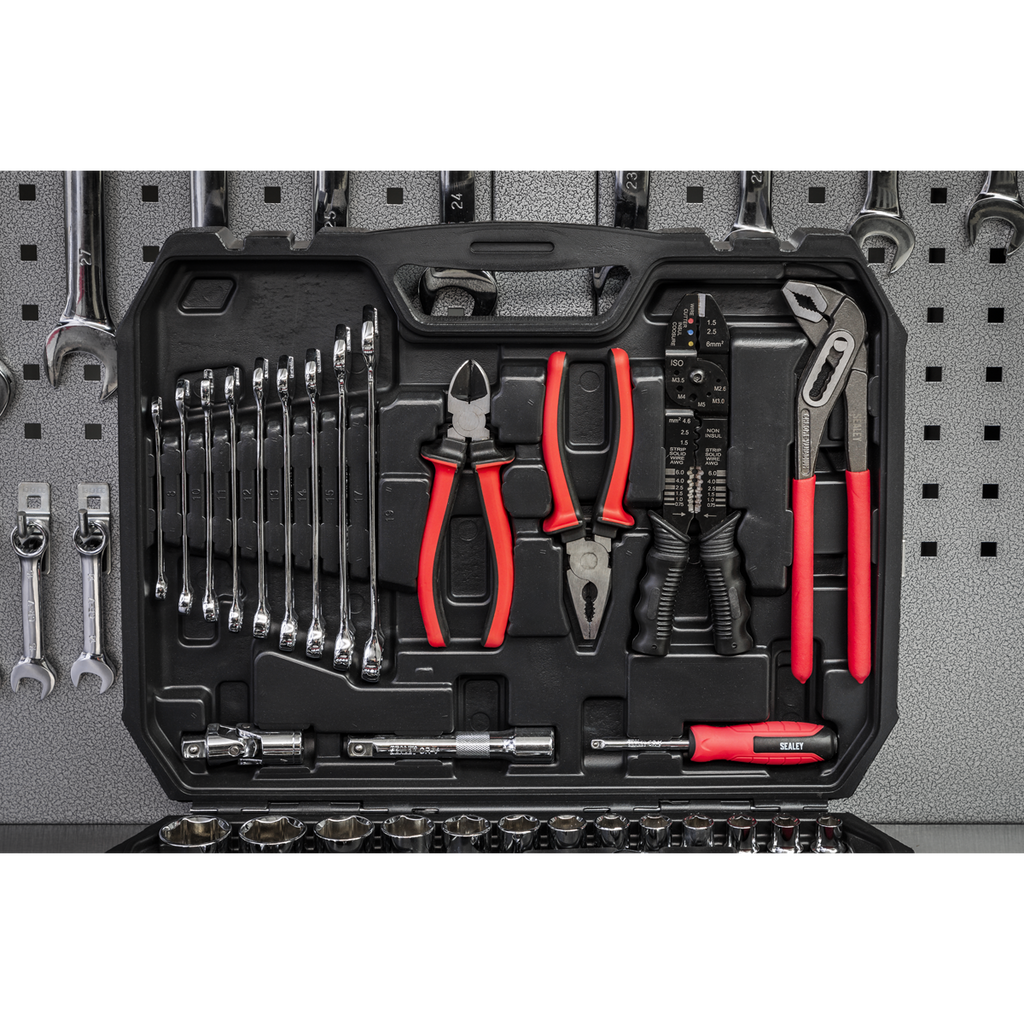 Mechanic's Tool Kit 100pc AK7400