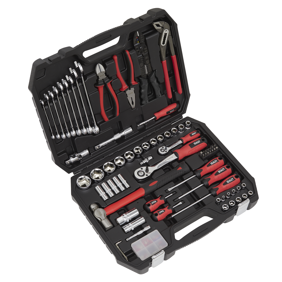 Mechanic's Tool Kit 100pc AK7400