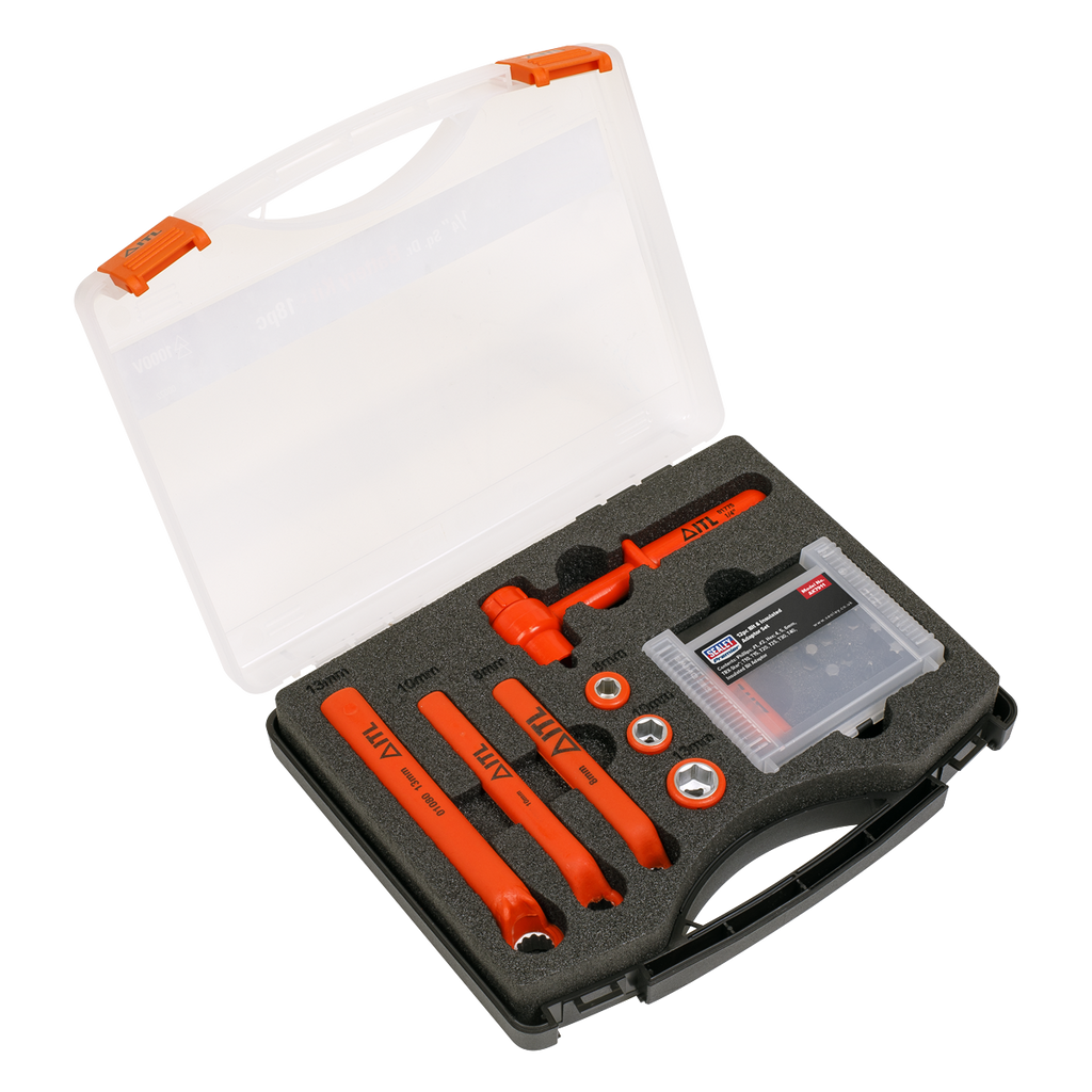 Hybrid & Electric Vehicle Battery Tool Kit 19pc AK7911