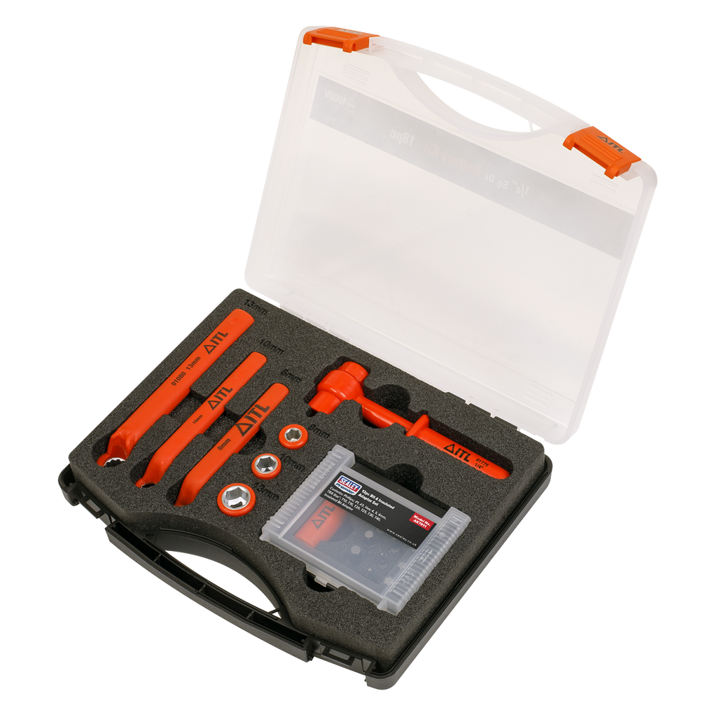 Hybrid & Electric Vehicle Battery Tool Kit 19pc AK7911