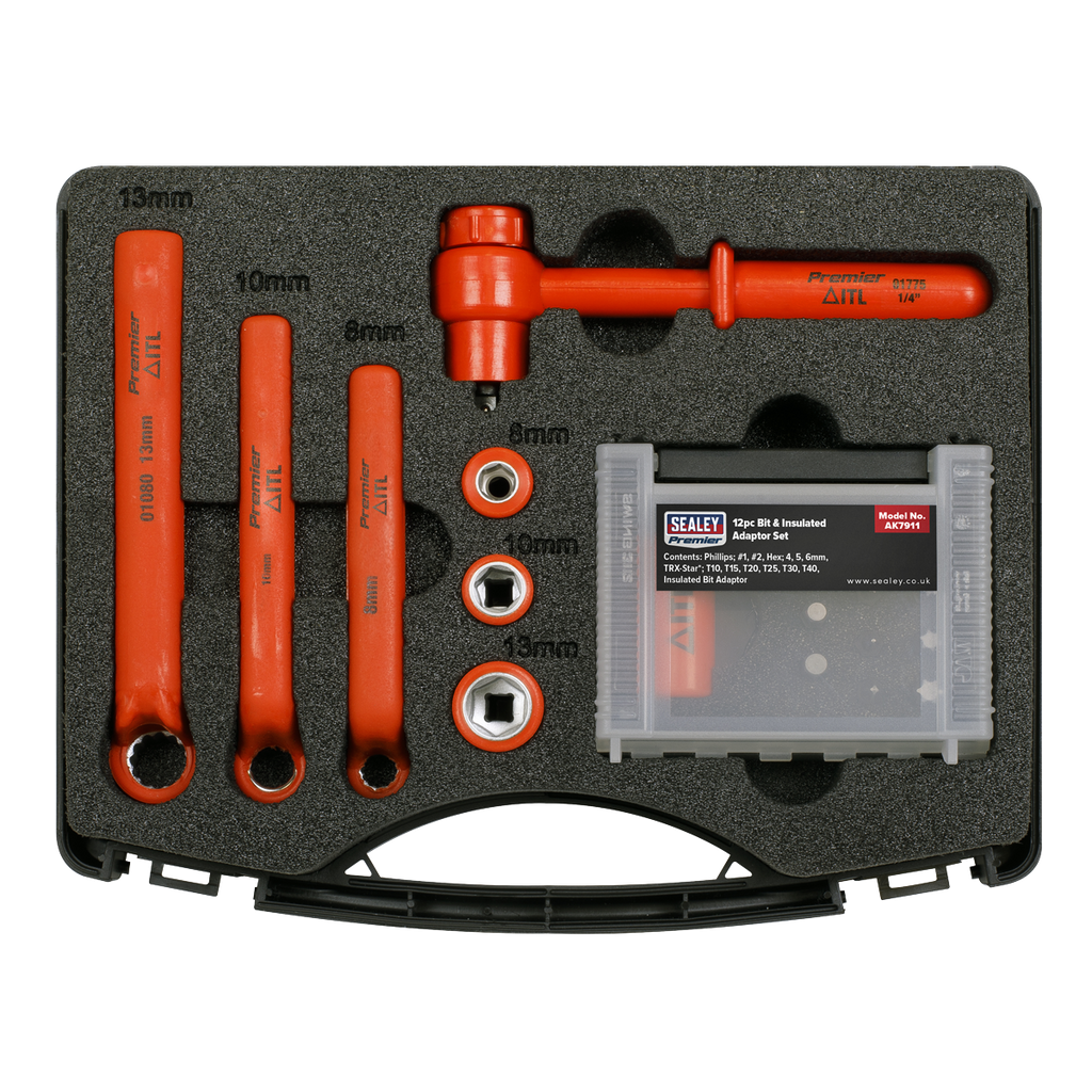Hybrid & Electric Vehicle Battery Tool Kit 19pc AK7911