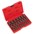 Multi-Spline Screw Extractor Set 25pc AK8182