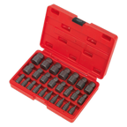 Multi-Spline Screw Extractor Set 25pc AK8182